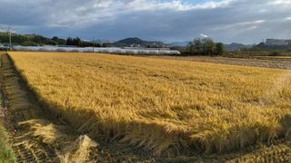 형설농원 정순정님의 자유주제 · 자유게시판 작성글 사진