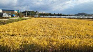 형설농원 정순정님의 자유주제 · 자유게시판 작성글 사진