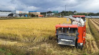 형설농원 정순정님의 자유주제 · 자유게시판 작성글 사진