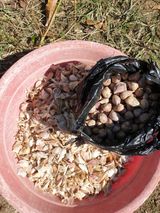 팜모닝 콩·영농일지 게시글 이미지