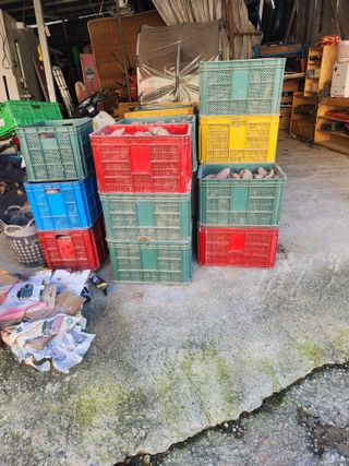 용인시님의 고구마 · 자유게시판 작성글 사진