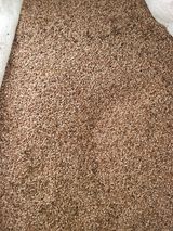 팜모닝 · 게시글 이미지