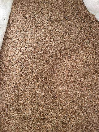 해풍님의 작성글 사진