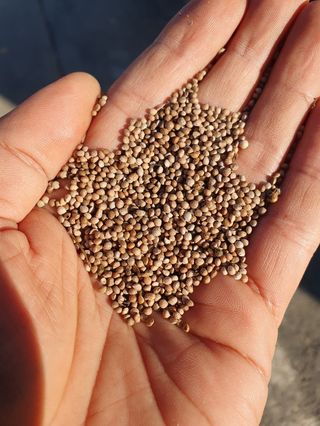 해풍님의 작성글 사진