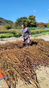 팜모닝 콩·영농일지 게시글 이미지