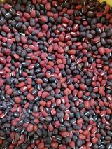 팜모닝 자유주제·자유게시판 게시글 이미지