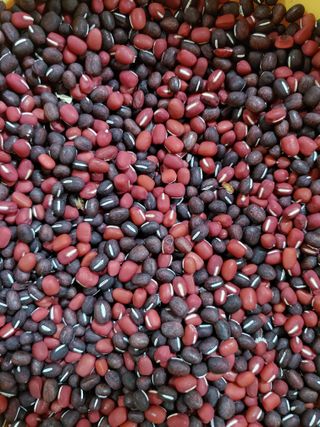 초보농부님의 자유주제 · 자유게시판 작성글 사진