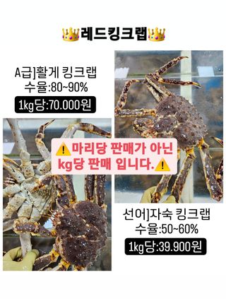 노가네수산님의 우리동네 · 동네정보 작성글 사진