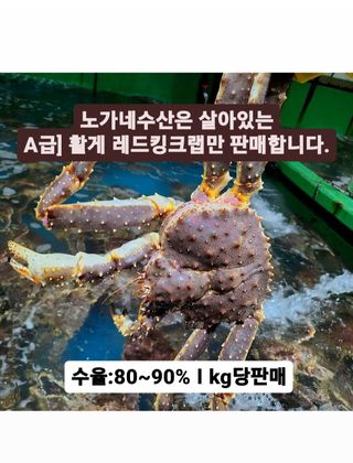 노가네수산님의 우리동네 · 동네정보 작성글 사진