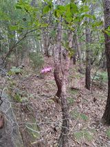 팜모닝 자유주제·자유게시판 게시글 이미지