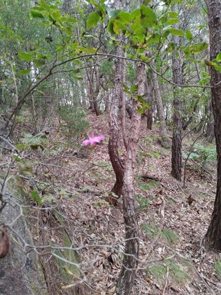 숲속의사나이님의 자유주제 · 자유게시판 작성글 사진