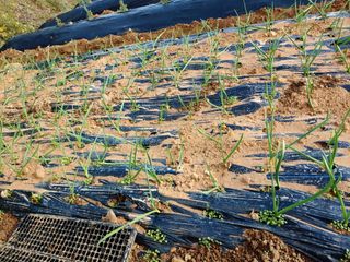 블루아이스님의 자유주제 · 자유게시판 작성글 사진