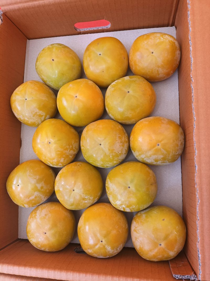 장터 상품 [진영단강 대과(선물용)10kg] 썸네일