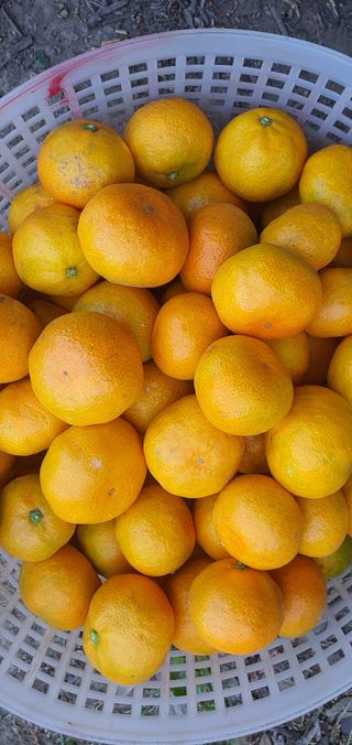 김봉국님의 작성글 사진