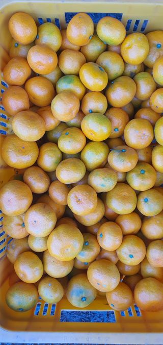 김봉국님의 작성글 사진