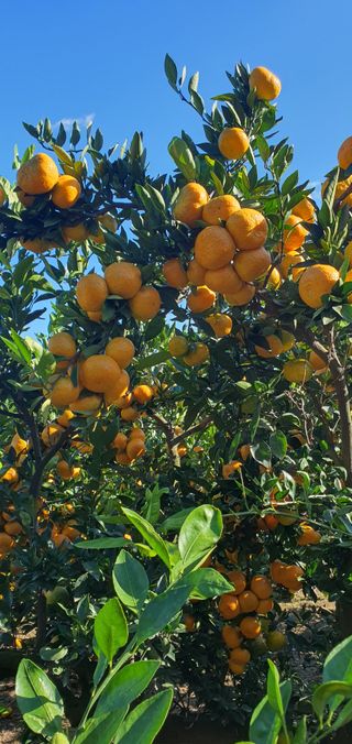 김봉국님의 작성글 사진