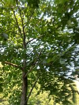 팜모닝 오이·자유게시판 게시글 이미지