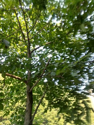 조갑선님의 오이 · 자유게시판 작성글 사진