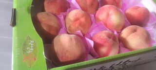 김능수(버들양봉농원님의 요즘 뜨는 신품종은? 💬 · 참여글 작성글 사진