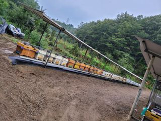 김능수(버들양봉농원님의 요즘 뜨는 신품종은? 💬 · 참여글 작성글 사진