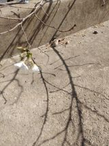 팜모닝 자유주제·자유게시판 게시글 이미지