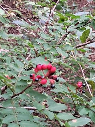 이성재님의 작성글 사진