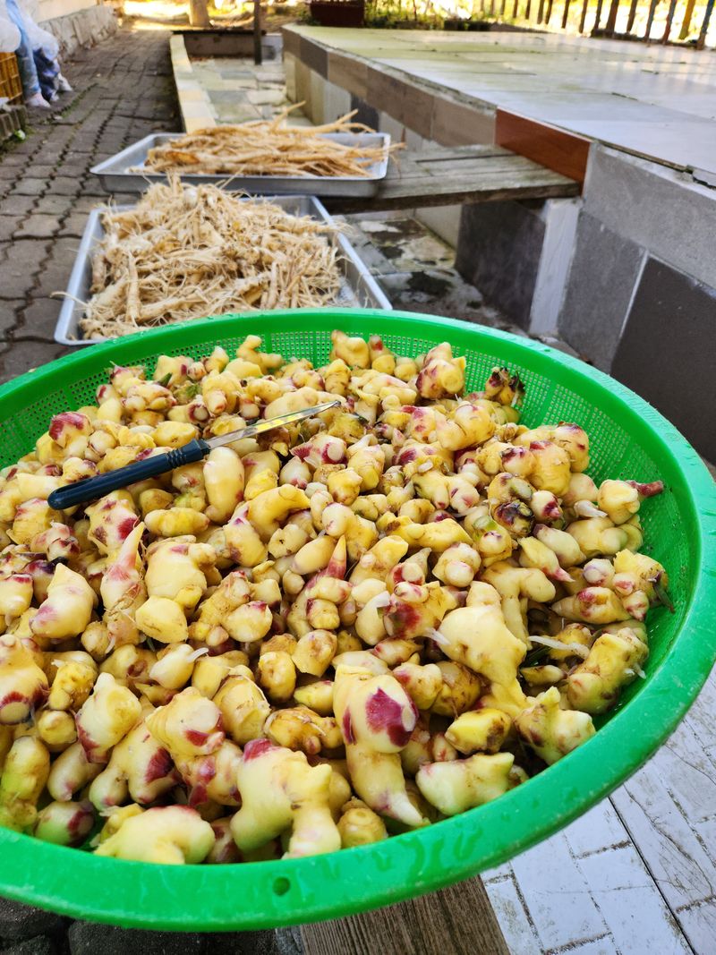 장터 상품 [가을콩으로 메주 만드어가기] 썸네일