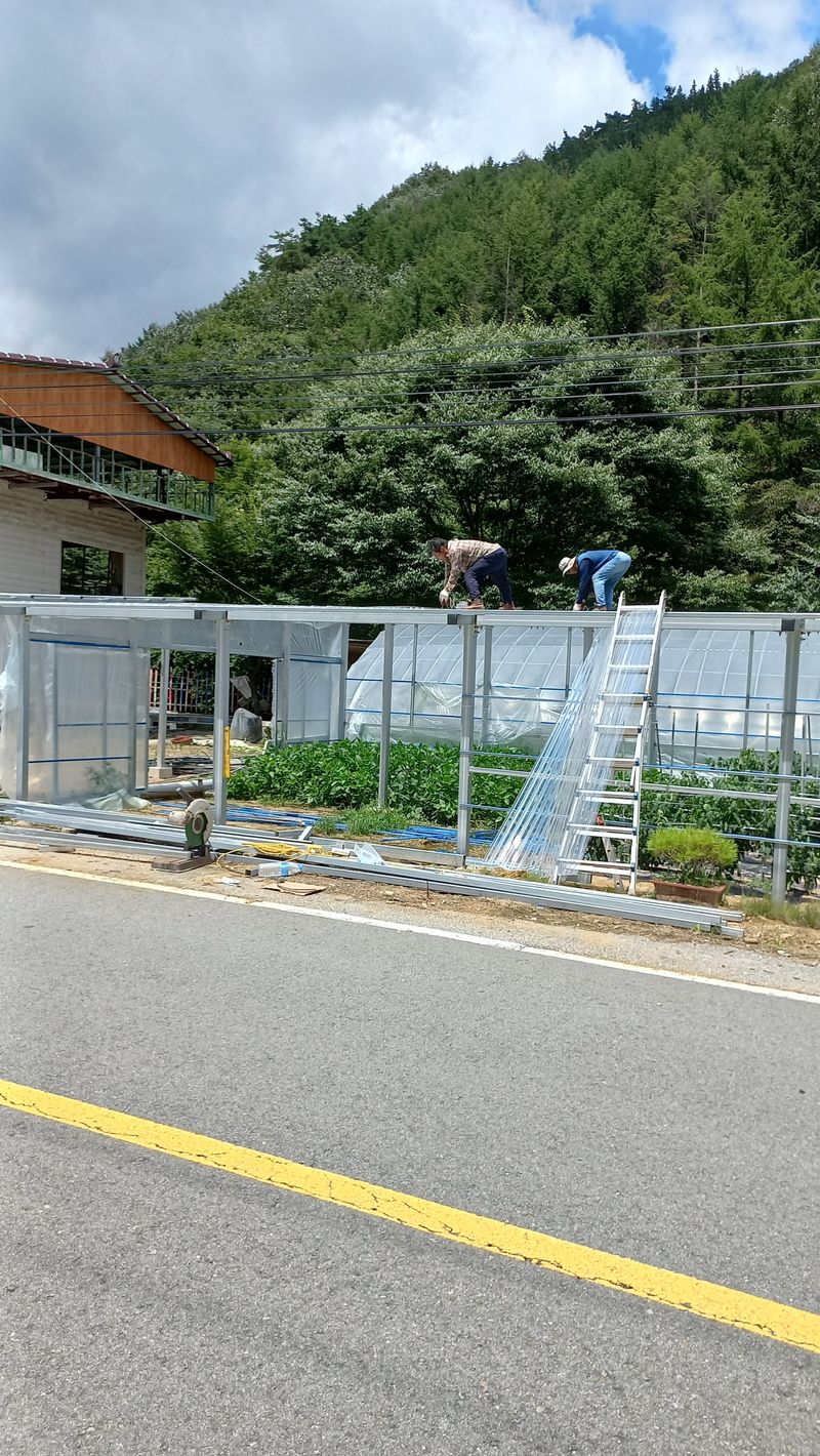 파란농원님의 장터 판매 상품 [가을콩으로 메주 만드어가기] 첨부 사진