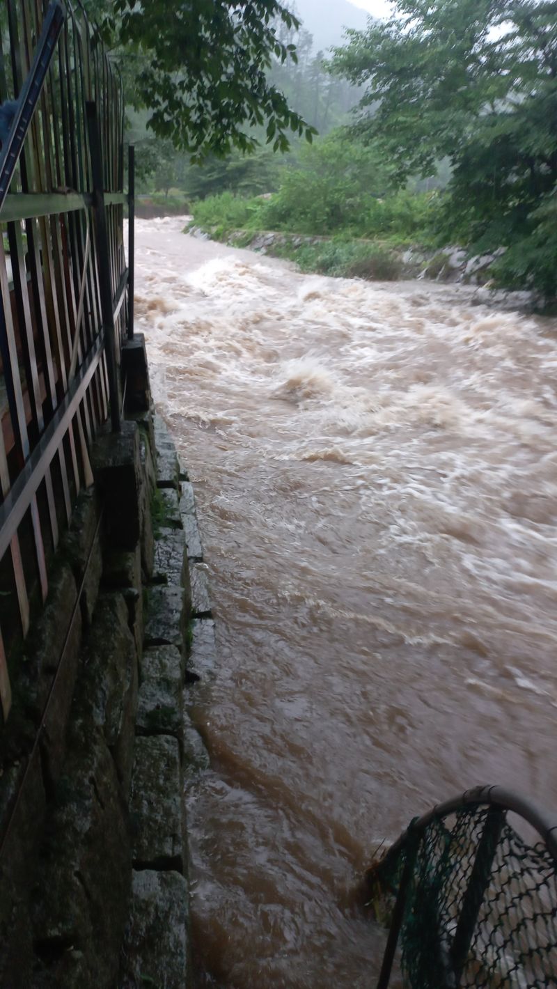 파란농원님의 장터 판매 상품 [가을콩으로 메주 만드어가기] 첨부 사진