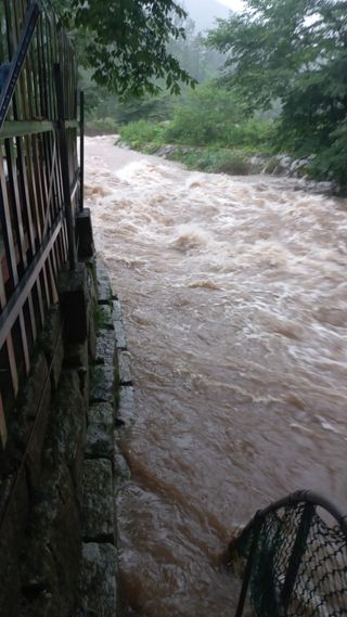 파란농원님의 작성글 사진