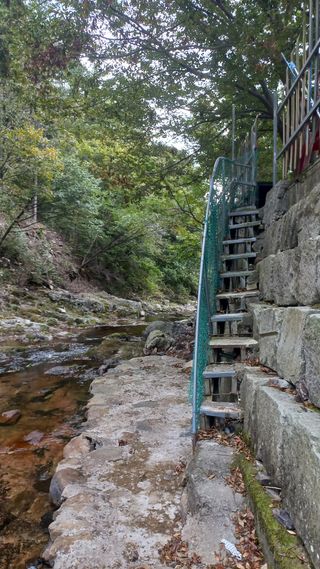 파란농원님의 작성글 사진