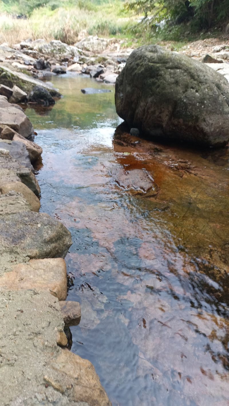 파란농원님의 장터 판매 상품 [가을콩으로 메주 만드어가기] 첨부 사진
