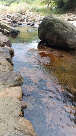 파란농원님의 작성글 사진