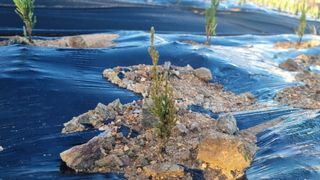 정승조님의 기타작물 · 영농일지 작성글 사진