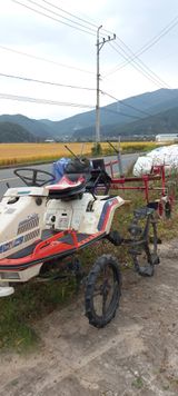 팜모닝 · 게시글 이미지