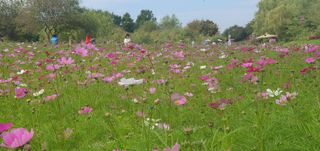 이흥옥님의 콩 · 자유게시판 작성글 사진