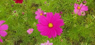 이흥옥님의 콩 · 자유게시판 작성글 사진