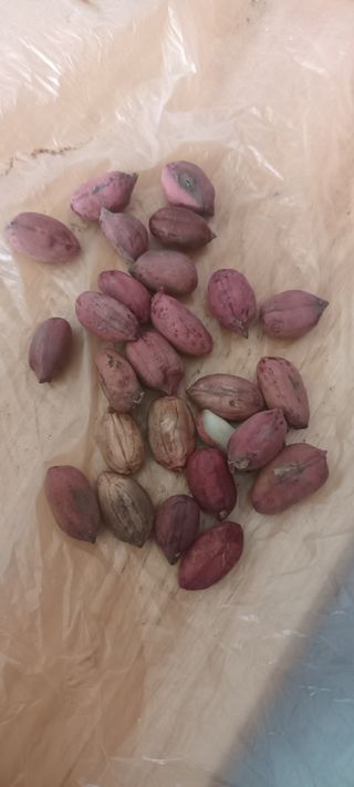 청풍맨님의 기타작물 · 자유게시판 작성글 사진