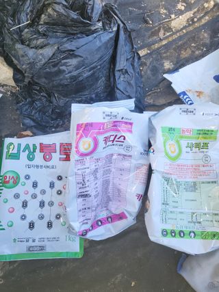 이상욱님의 마늘 · 영농일지 작성글 사진