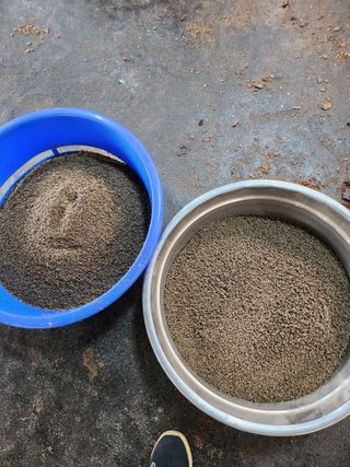 김연숙님의 들깨 · 자유게시판 작성글 사진