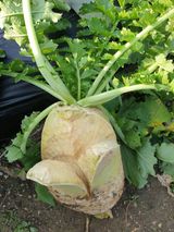 팜모닝 자유주제·자유게시판 게시글 이미지