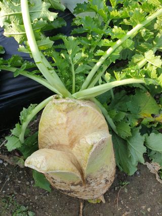 장은주님의 자유주제 · 자유게시판 작성글 사진