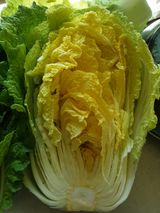 팜모닝 배추·영농일지 게시글 이미지