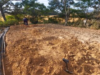 민들레 수연님의 벼 · 영농일지 작성글 사진