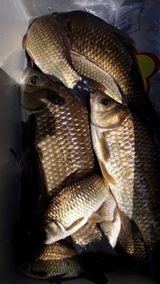 팜모닝 · 게시글 이미지