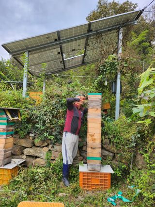 오토산농장님의 작성글 사진