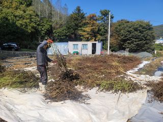 장기준님의 들깨 · 영농일지 작성글 사진