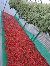 팜모닝 자유주제·자유게시판 게시글 이미지