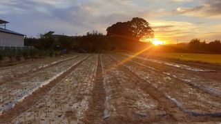 왕왕초보동읍거주님의 자유주제 · 자유게시판 작성글 사진