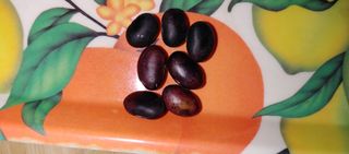 최용운님의 콩 · 자유게시판 작성글 사진